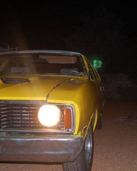 my bumble beast