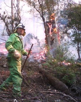 Rakehoe crew in Tara Bulga National Park