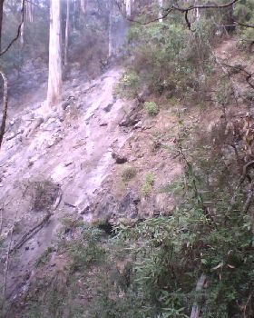 Typical Rakehoe country in Tara Bulga N.P.