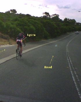 Lycra