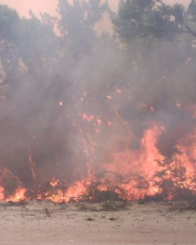 Prom fires