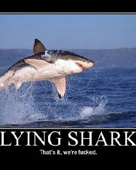 flying sharks