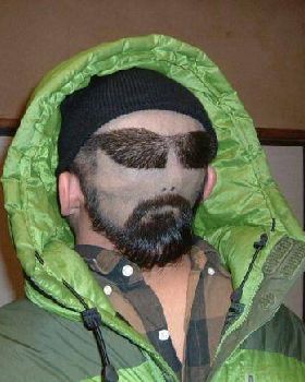 Cunning Disguise