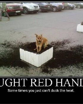 redhanded
