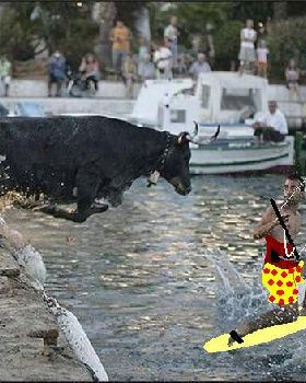 bull chasing guy