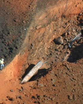 Dial before you dig...they never found the guy with the digger