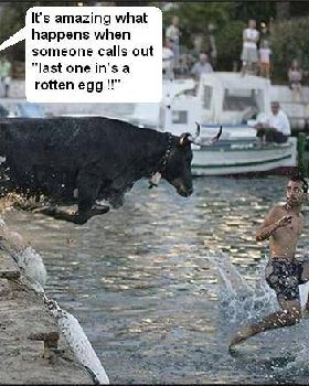 bull rotten egg
