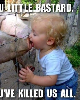 swine flu