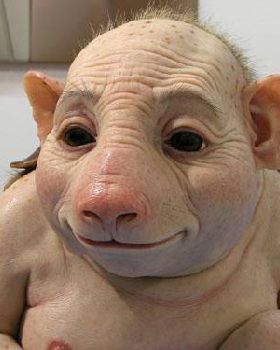 second symptom of swine flu