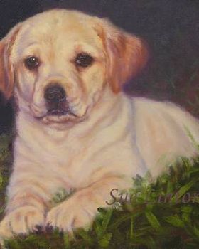 Sue Pet painting 2