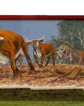 Sue paintings