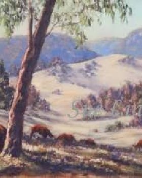 Sue paintings