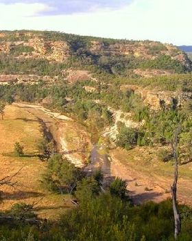 Bushwalking HV