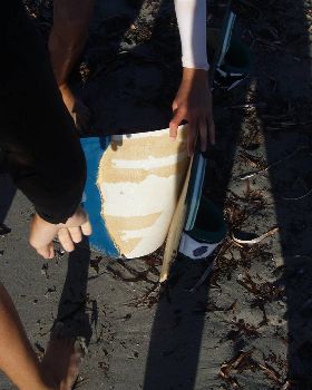 broken naish board