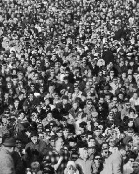 crowds2