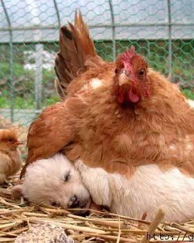MUM Play over Not Sleep over