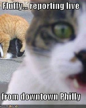 kitty luv time