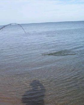 weipa 07 027