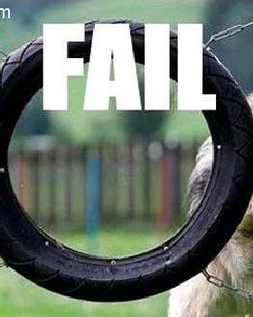 11033 359286265141 826780141 10182110 1666085 n