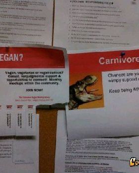 carnivore