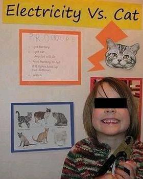 10 wtf but funny pictrues 7