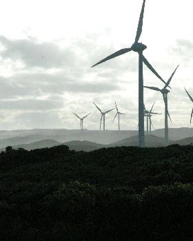 Albany wind farm