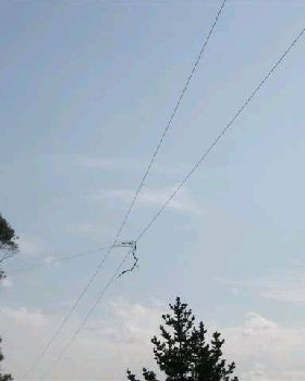 kite2