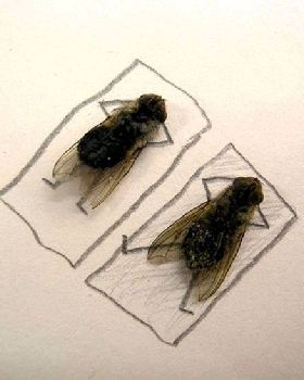 image001