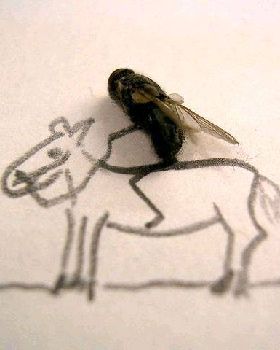 image002