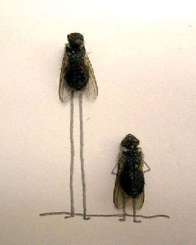 image005