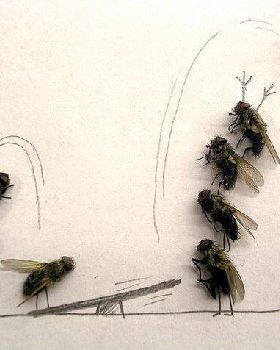 image008