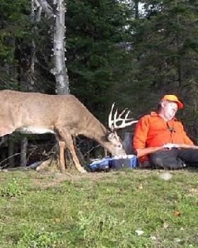 Deer hunter sleeping