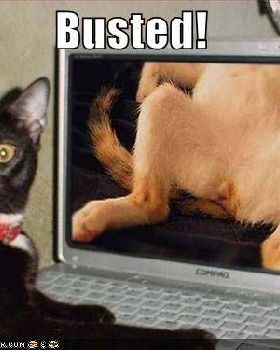 busted