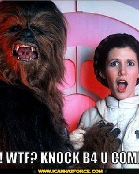 star-wars-chewbacca-leia-omg-wtf-knock-before-you-come-in