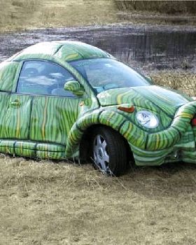 Turtle Car