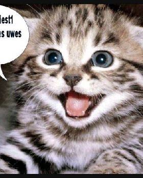 puss