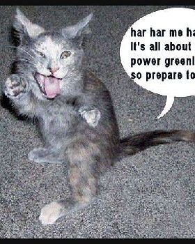 pussy power