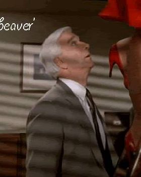 nice-beaver