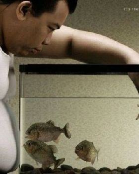 Hungry Fish