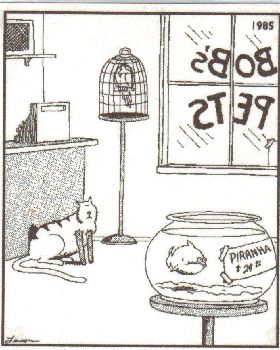 farside