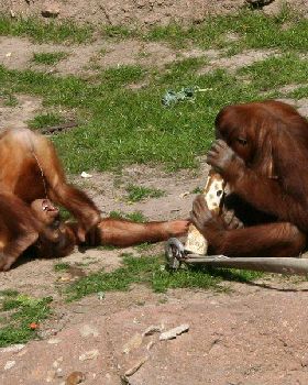 pic3