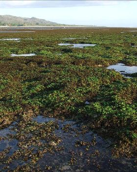 Bali Sumbawa 09 013