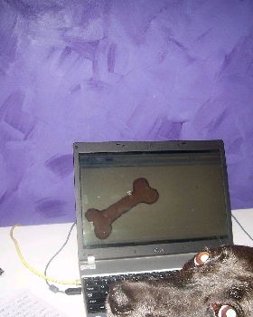 missy computer 003