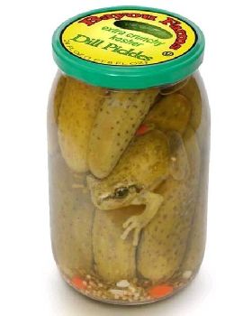 so pickled