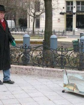 fish