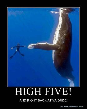 HIGHFIVE