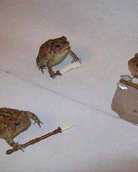 Battletoads 3D