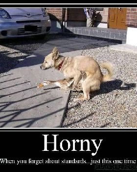 Horny