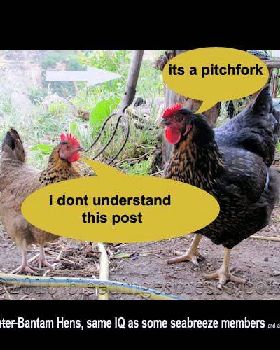 hen2