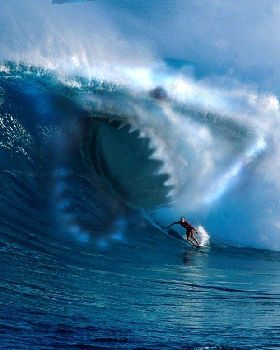shark by Brycebubbles